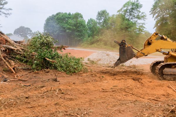 Cost of Forestry Mulching Service in Georgetown