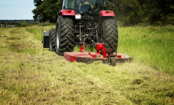 Cost of Brush Clearing Service in Georgetown