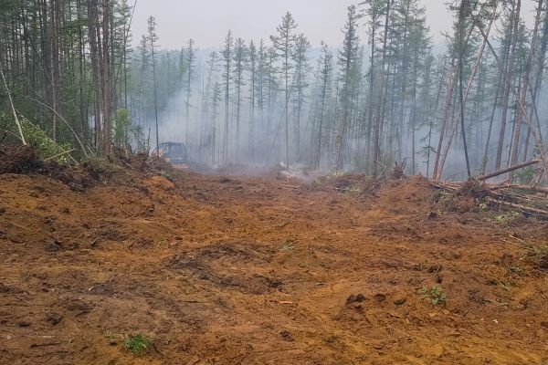Cost of Hill Clearing in Georgetown
