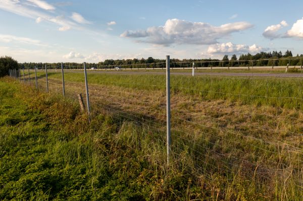 Cost of Property Line Clearing in Georgetown