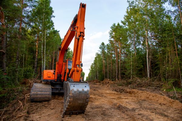 Cost of Backhoe Land Clearing in Georgetown