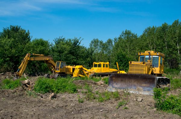 Cost of Bulldozer Clearing in Georgetown