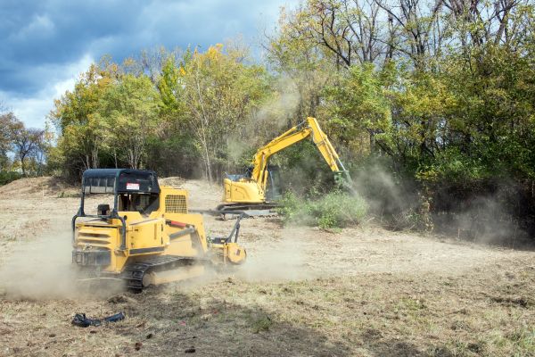 Cost of Terrain Clearing in Georgetown